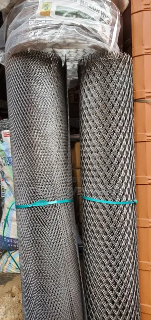 Ms Expanded Net