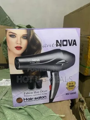 Electric Professional Hair Dryer- Black