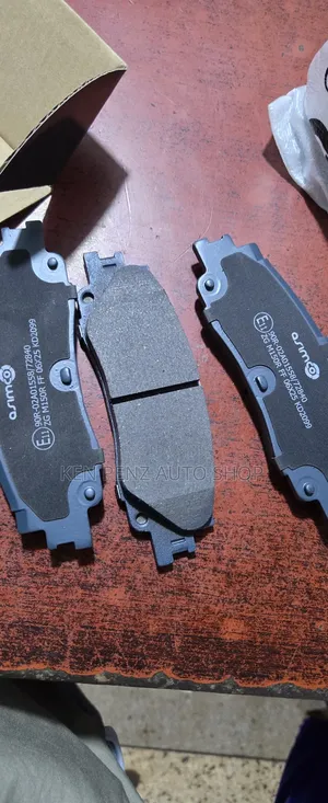 Landcruiser Lc300 and Lc250 Rear Brake Pads ( Acmco)