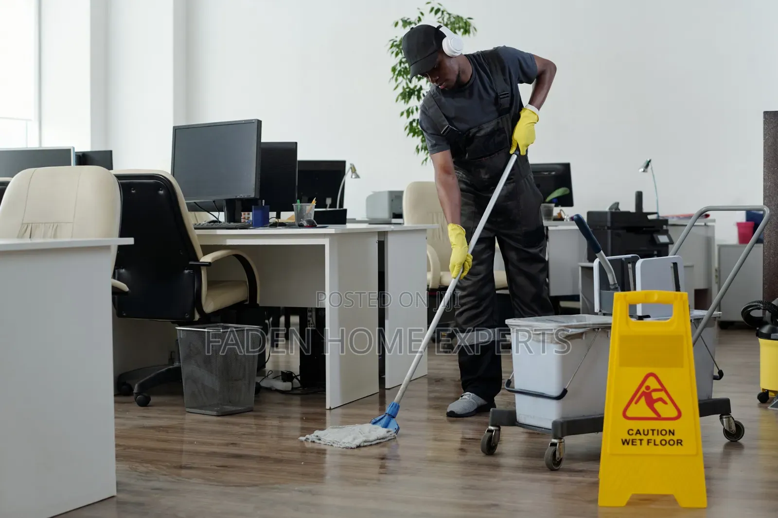 Cleaning, Fumigation and Painting Experts