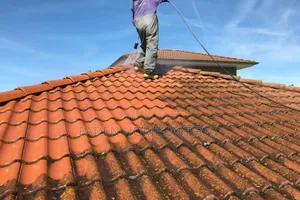 Cleaning, Fumigation and Painting Experts