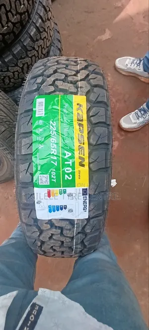 225/65r17 Kapsen