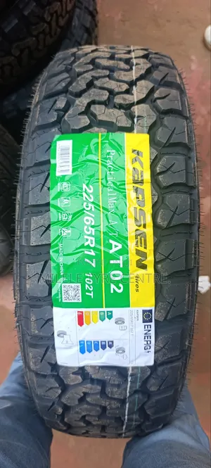 225/65r17 Kapsen