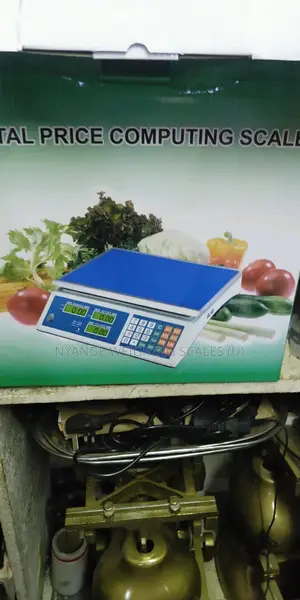 Waterproof Cheap Digital Weighing Scales [42]