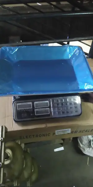 Cheap Digital Weighing Scales [33]