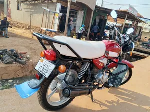 TVS HLX 125 2024 Red
