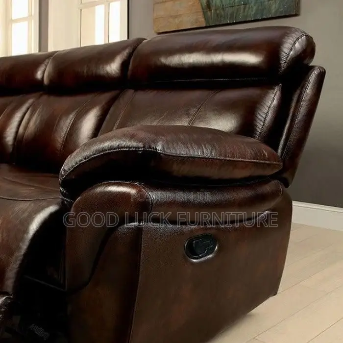 Leather Repair and Sofa