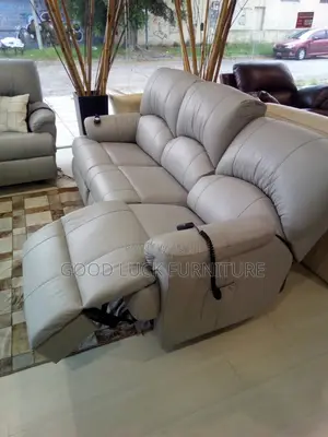 Leather Repair and Sofa