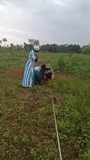 Plots Available