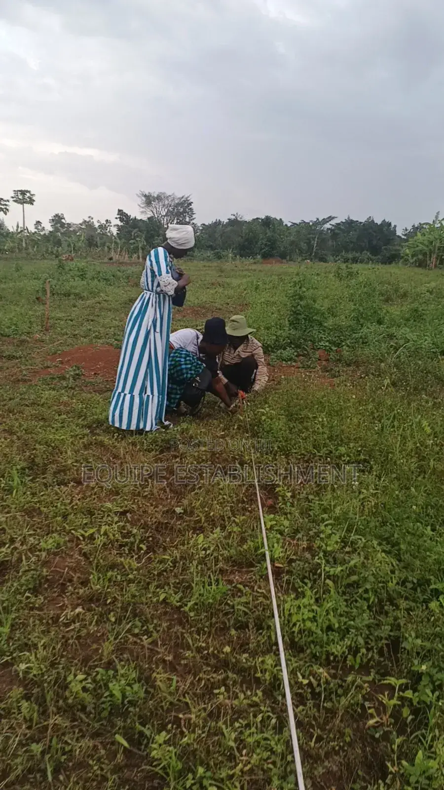 Plots Available