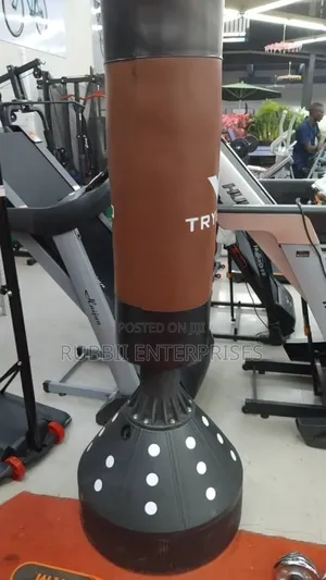 Free-Standing Punching Bag