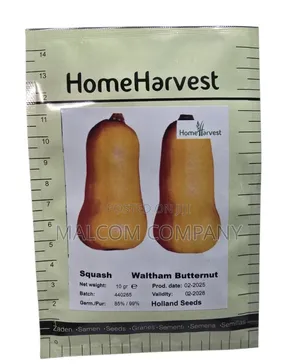 Butternut Seeds for Planting 5g