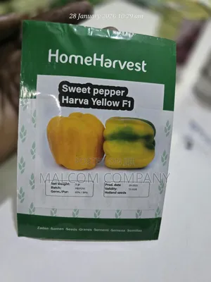 Sweet Yellow Pepper Hybrid Seeds 5g