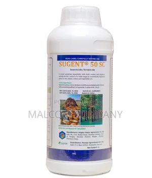 Building Foundation Treatment for Termites.