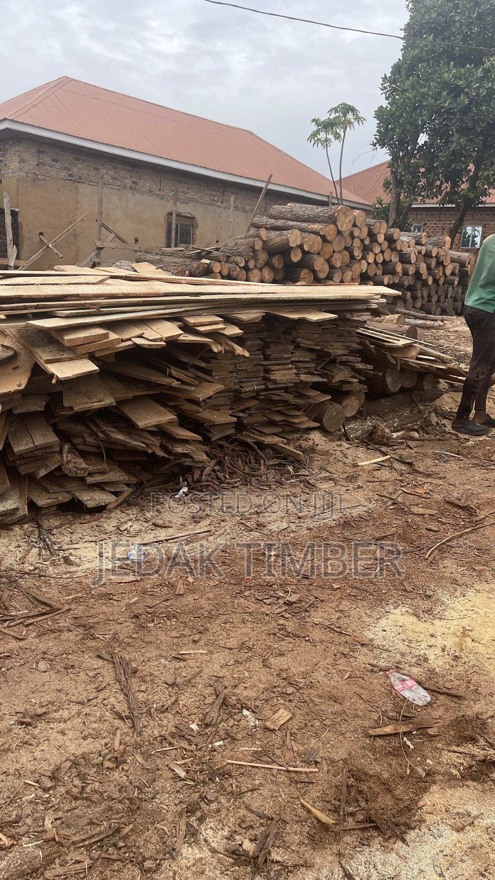 Timber for Roofing