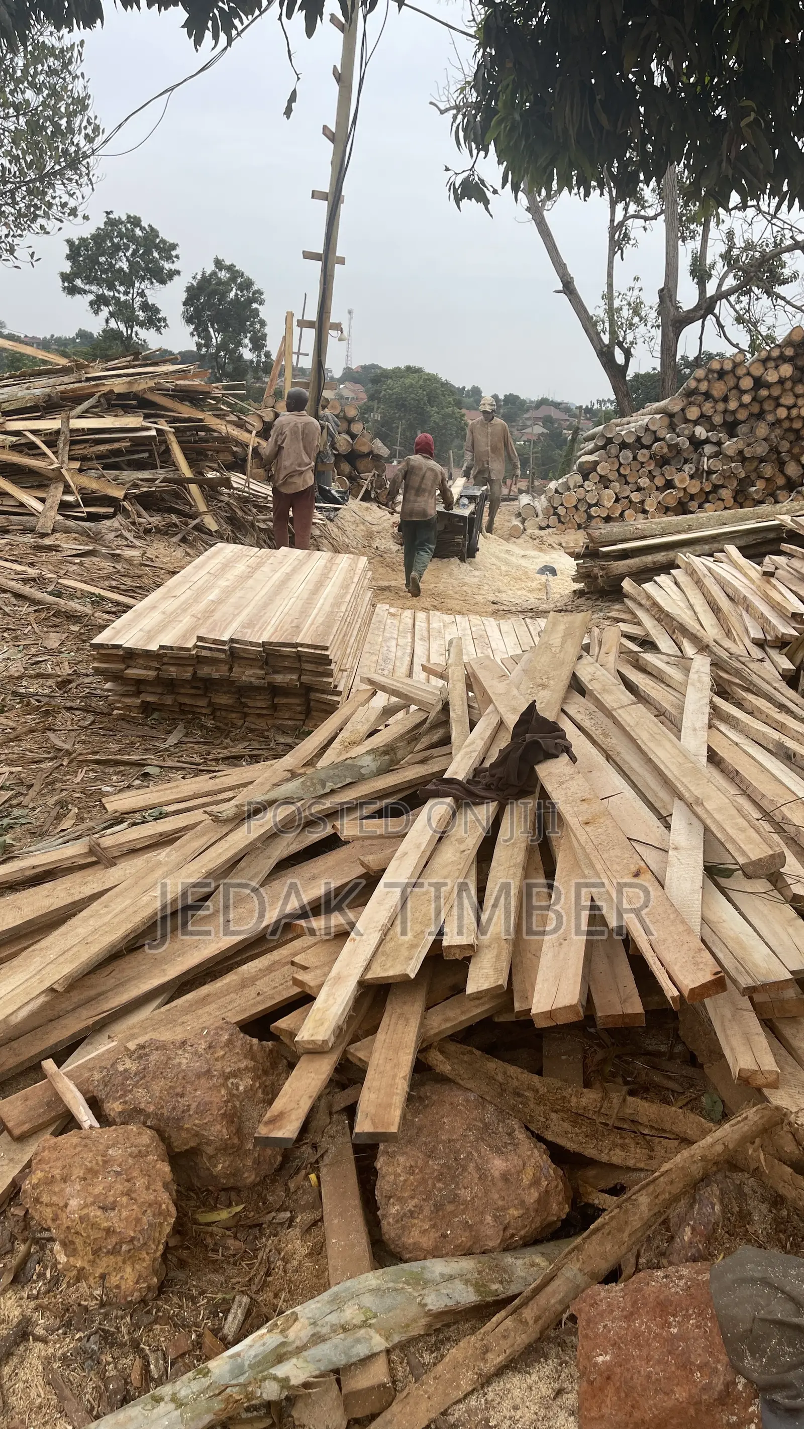 Timber for Roofing