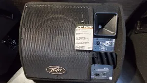 Peavey Stage Monitor Pv 15pm