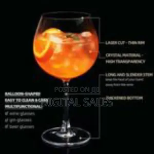 Set of 6 Elegant Balloon Wine Glasses
