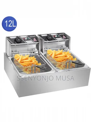 Adh Stainless Steel Double Deep Fryer | 12l Large Capacity