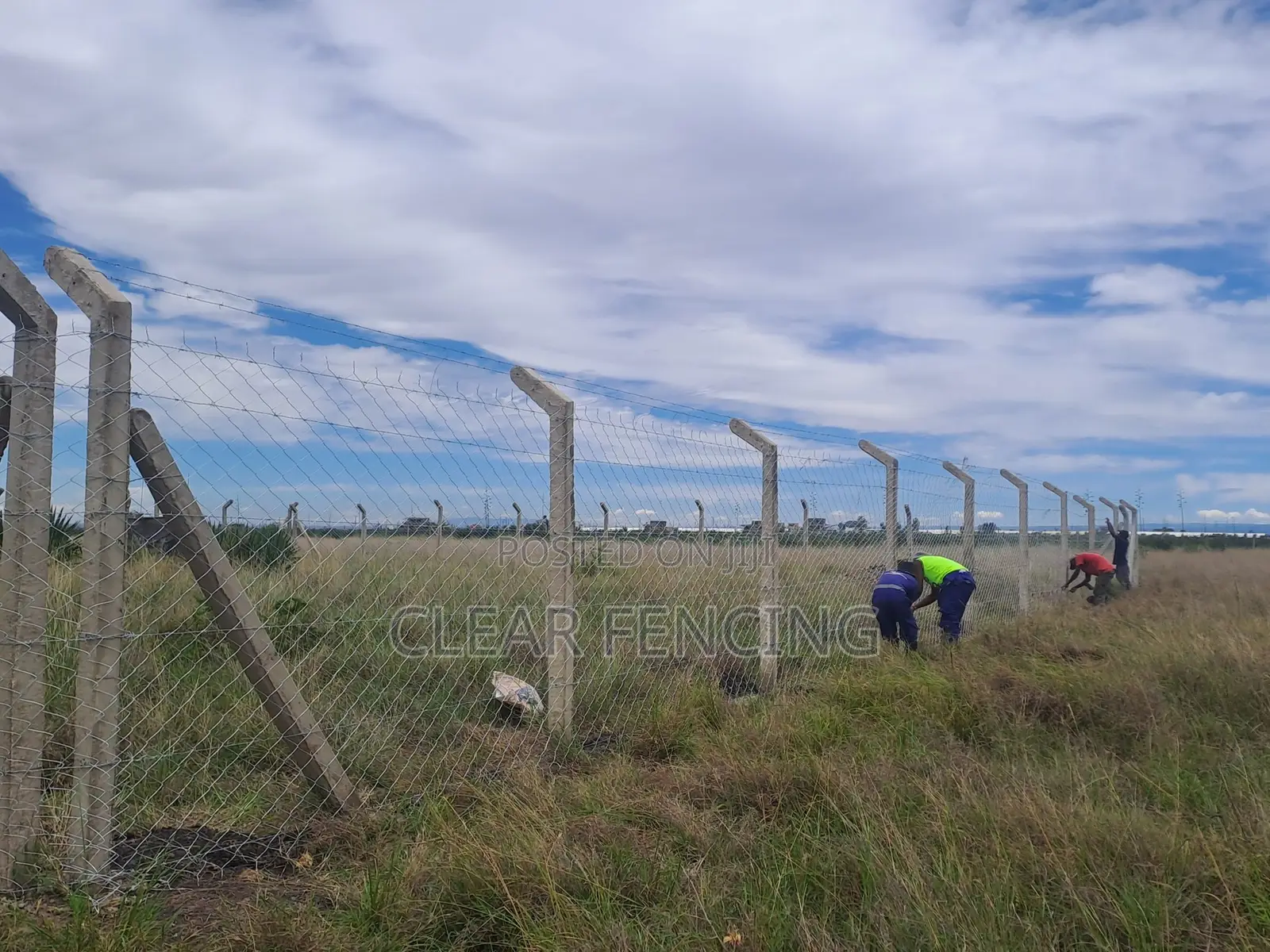 Chain Link Fencing
