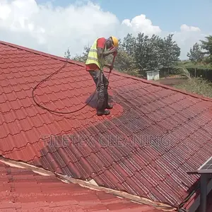 Roof Cleaning