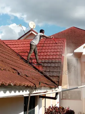 Rooftile Cleaning Services