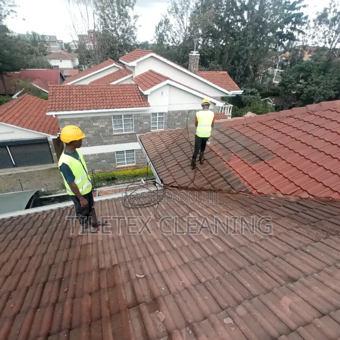 Old Roof Tile Cleaning in Muyenga