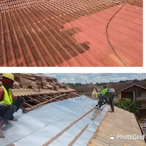 Roof Tile Renovation in Kololo