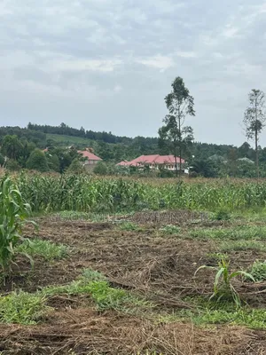 200 Acres of Low Land at Maya on Masaka Road Wakiso District
