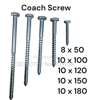 Coach-Screw Bolts