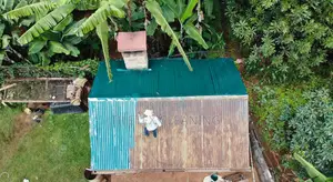 Roof Repainting
