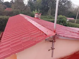Faded Roof Cleaning | Repainting