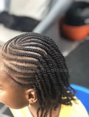 Professional Natural Hair Braiding – Gentle and Neat