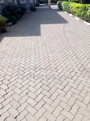 Paver Cleaning
