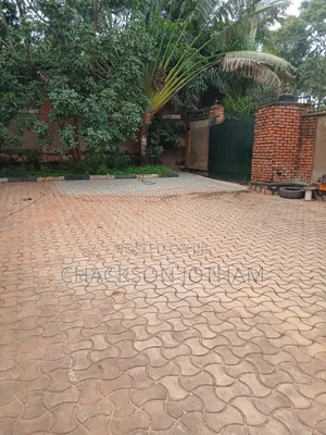 Paver And Roof