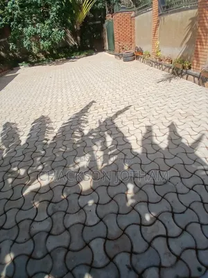 Paver And Roof
