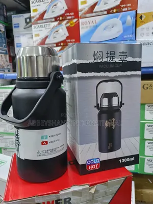 Vacuum Flask/Thermos or Insulated Bottle.