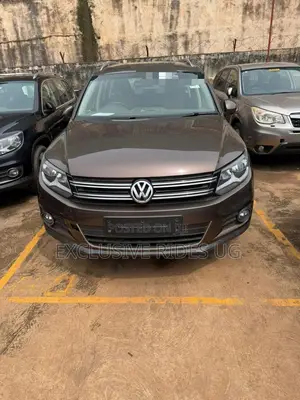 Volkswagen Tiguan 2014 Gray