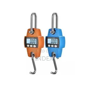 300kg Digital Crane Weighing Scale