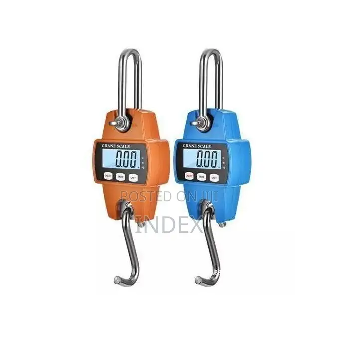 300kg Digital Crane Weighing Scale