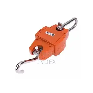 300kg Digital Crane Weighing Scale