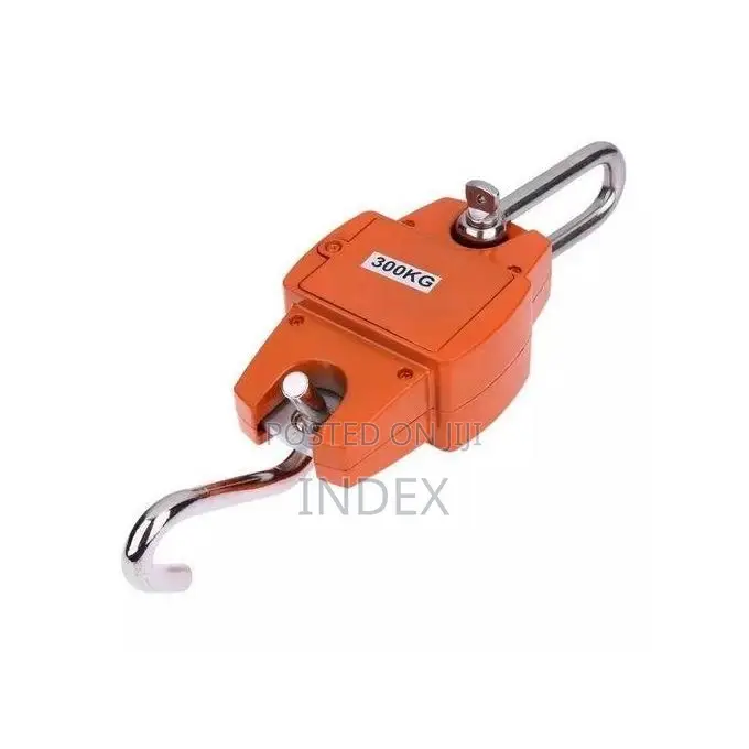 300kg Digital Crane Weighing Scale