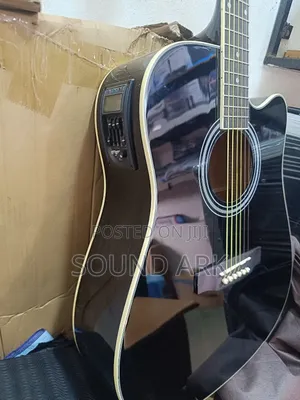 Acoustic Powered Guitar