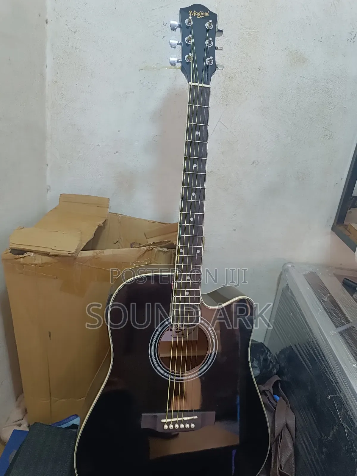 Acoustic Powered Guitar