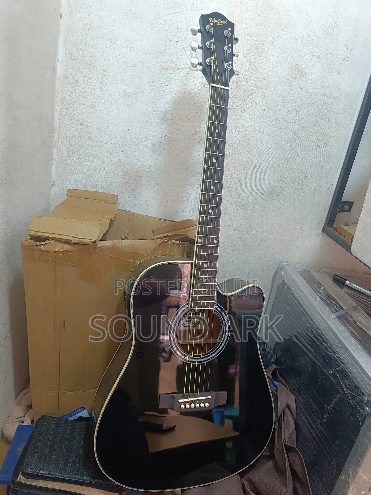 Acoustic Powered Guitar