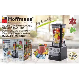 Hoffmans 2l Multi-Functional Professional Blender