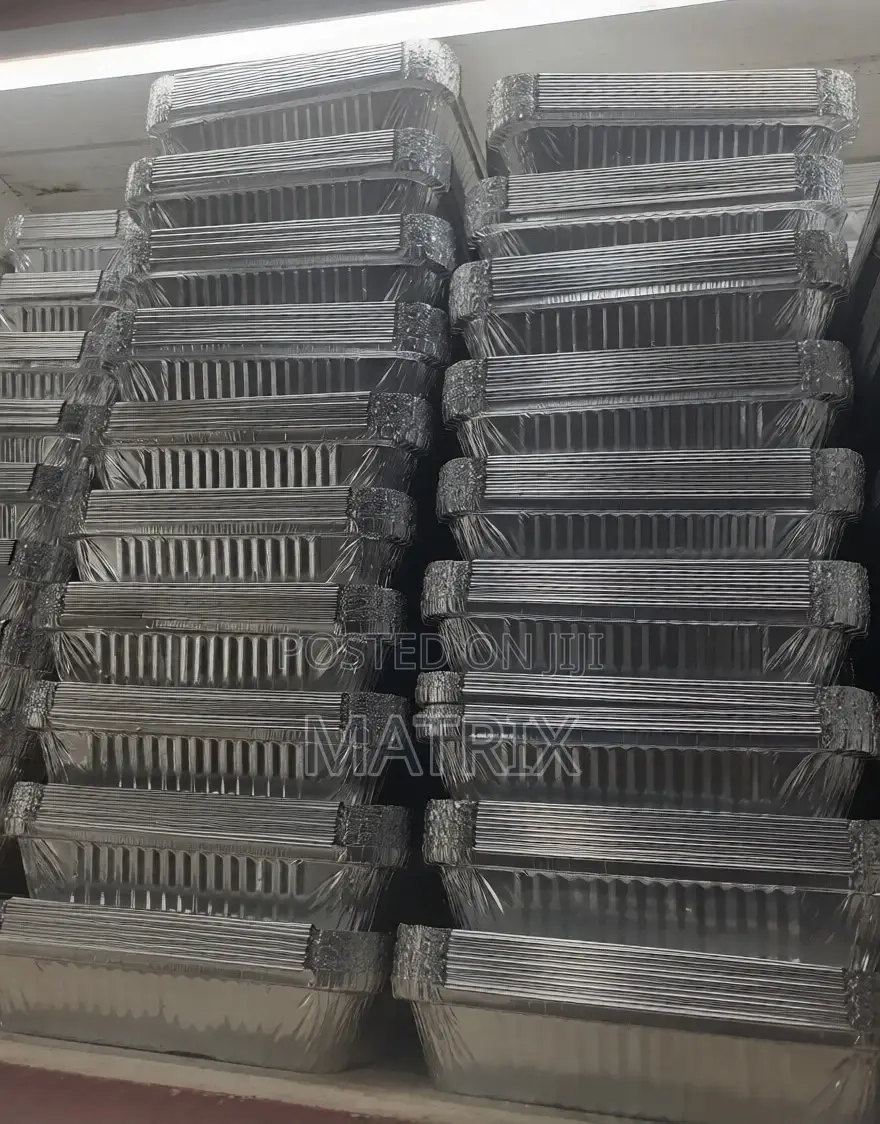Disposable Silver Plates Medium 1000pcs