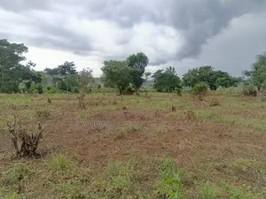 10 Acres of Land in Mbalala Mukono