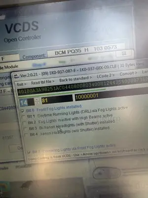 Diagnosed Your Vw Audi With Experts