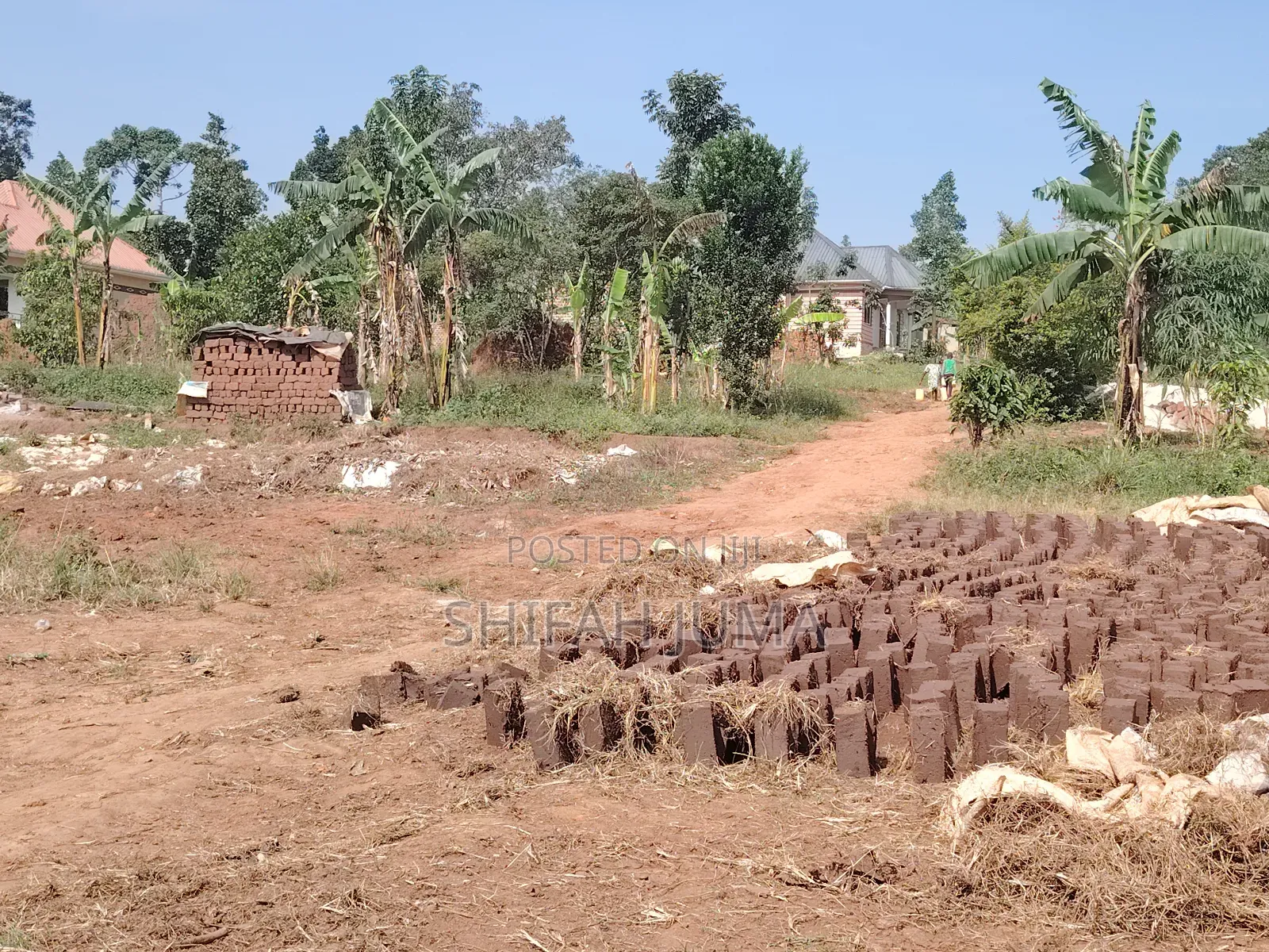 50 by 50 Ft Plot on Quick Sale